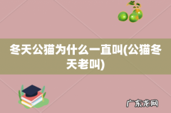公猫冬天老叫 冬天公猫为什么一直叫