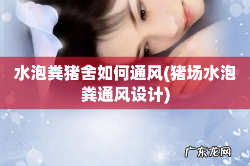 猪场水泡粪通风设计 水泡粪猪舍如何通风