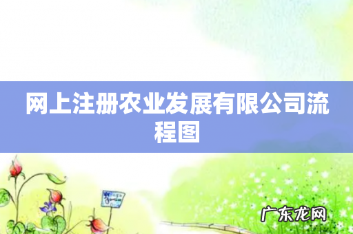 网上注册农业发展有限公司流程图