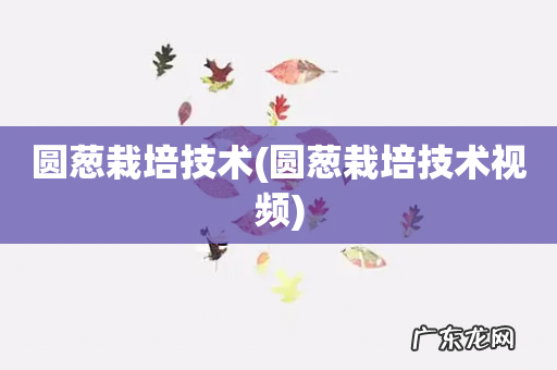 圆葱栽培技术视频 圆葱栽培技术