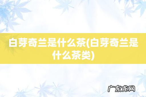 白芽奇兰是什么茶类 白芽奇兰是什么茶