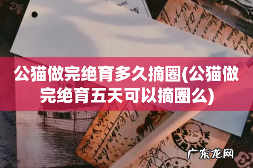 公猫做完绝育五天可以摘圈么 公猫做完绝育多久摘圈