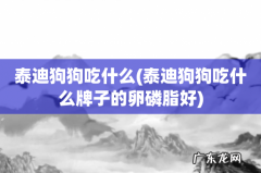 泰迪狗狗吃什么牌子的卵磷脂好 泰迪狗狗吃什么