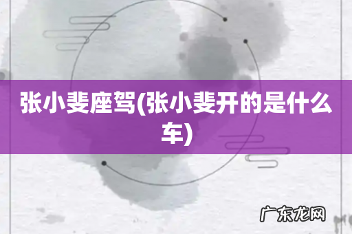 张小斐开的是什么车 张小斐座驾