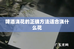 啤酒浇花的正确方法适合浇什么花