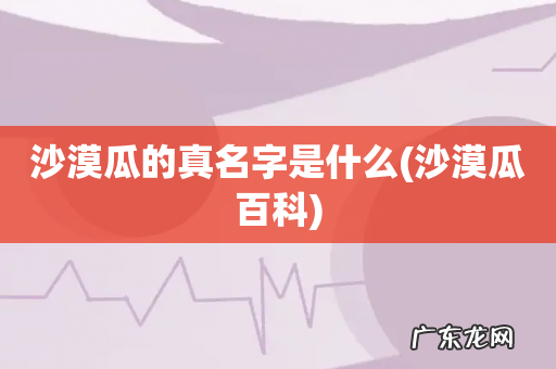 沙漠瓜百科 沙漠瓜的真名字是什么