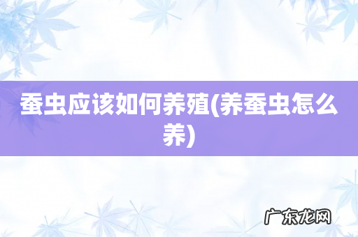 养蚕虫怎么养 蚕虫应该如何养殖
