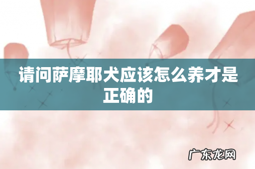 请问萨摩耶犬应该怎么养才是正确的