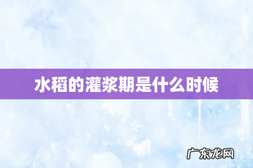 水稻的灌浆期是什么时候