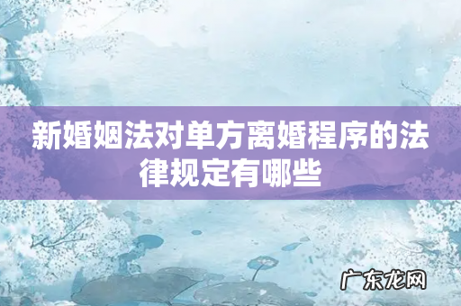 新婚姻法对单方离婚程序的法律规定有哪些