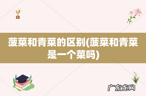 菠菜和青菜是一个菜吗 菠菜和青菜的区别