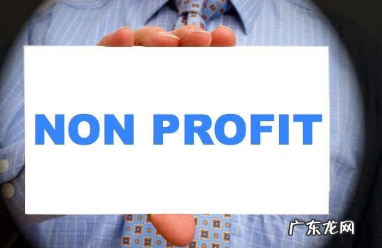 什么是非盈利企业 非盈利组织