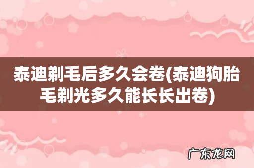 泰迪狗胎毛剃光多久能长长出卷 泰迪剃毛后多久会卷