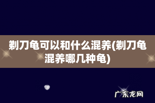 剃刀龟混养哪几种龟 剃刀龟可以和什么混养