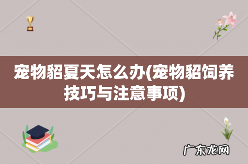 宠物貂饲养技巧与注意事项 宠物貂夏天怎么办