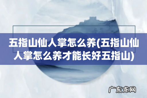 五指山仙人掌怎么养才能长好五指山 五指山仙人掌怎么养