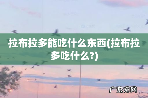 拉布拉多吃什么? 拉布拉多能吃什么东西