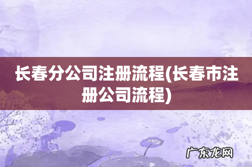 长春市注册公司流程 长春分公司注册流程