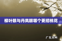 柳叶眼与丹凤眼哪个更招桃花