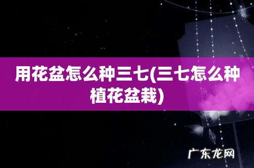 三七怎么种植花盆栽 用花盆怎么种三七