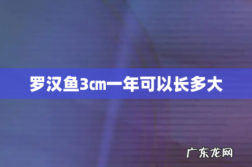 罗汉鱼3㎝一年可以长多大