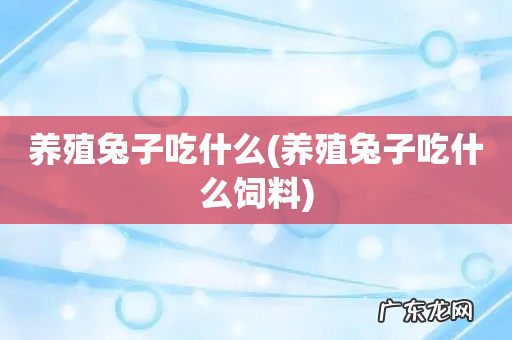养殖兔子吃什么饲料 养殖兔子吃什么