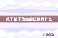关于孩子改姓的法律有什么