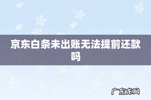 京东白条未出账无法提前还款吗
