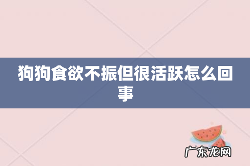 狗狗食欲不振但很活跃怎么回事
