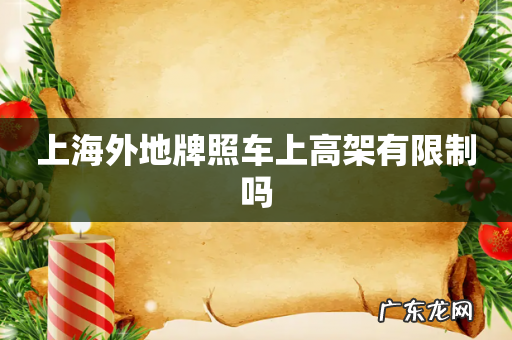 上海外地牌照车上高架有限制吗