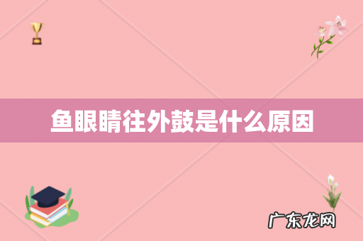 鱼眼睛往外鼓是什么原因