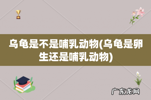 乌龟是卵生还是哺乳动物 乌龟是不是哺乳动物