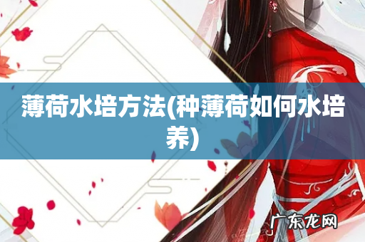 种薄荷如何水培养 薄荷水培方法