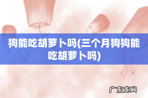 三个月狗狗能吃胡萝卜吗 狗能吃胡萝卜吗