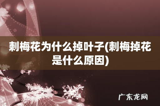 刺梅掉花是什么原因 刺梅花为什么掉叶子