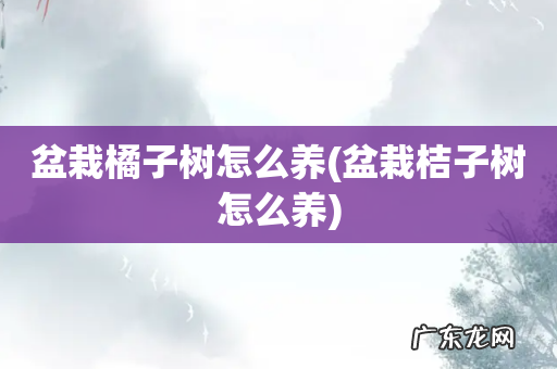 盆栽桔子树怎么养 盆栽橘子树怎么养