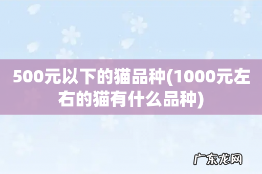1000元左右的猫有什么品种 500元以下的猫品种