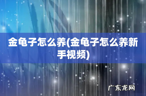 金龟子怎么养新手视频 金龟子怎么养