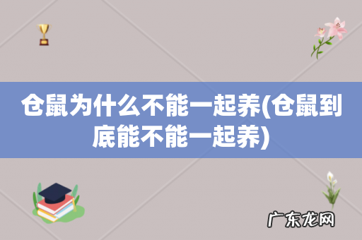 仓鼠到底能不能一起养 仓鼠为什么不能一起养