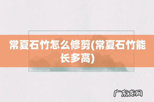 常夏石竹能长多高 常夏石竹怎么修剪