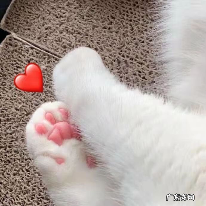 平刘海明星图片 八字平刘海图片