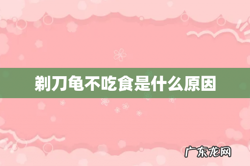 剃刀龟不吃食是什么原因