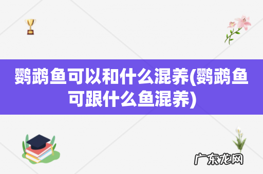 鹦鹉鱼可跟什么鱼混养 鹦鹉鱼可以和什么混养