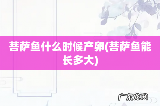 菩萨鱼能长多大 菩萨鱼什么时候产卵