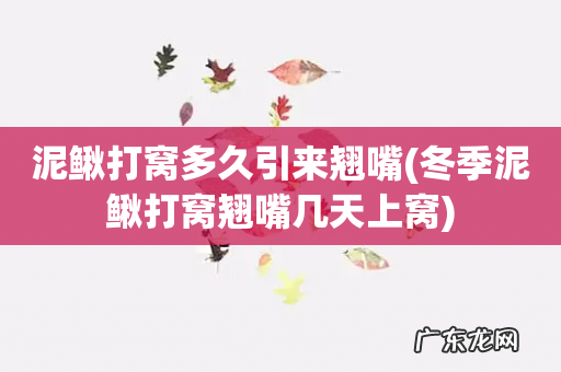 冬季泥鳅打窝翘嘴几天上窝 泥鳅打窝多久引来翘嘴
