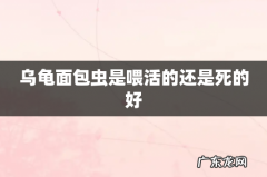 乌龟面包虫是喂活的还是死的好