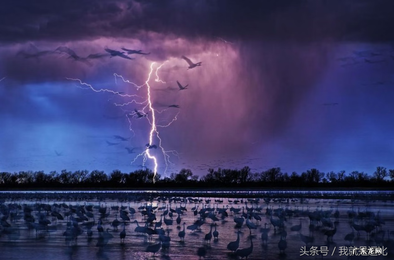 LaMiaZeaLoT ogallala 站在那里