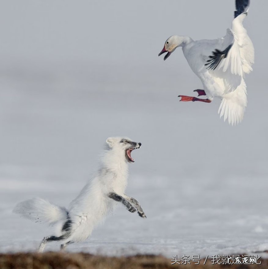 LaMiaZeaLoT ogallala 站在那里