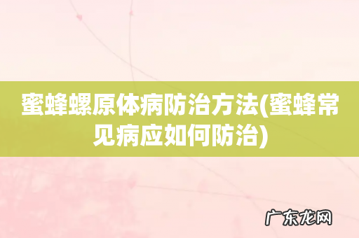 蜜蜂常见病应如何防治 蜜蜂螺原体病防治方法
