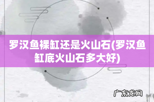 罗汉鱼缸底火山石多大好 罗汉鱼裸缸还是火山石